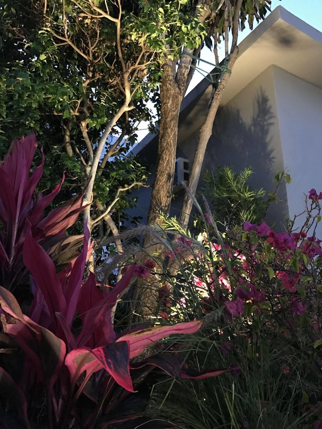 Luxury Miami Beach Apartments By Michigan Ngoại thất bức ảnh